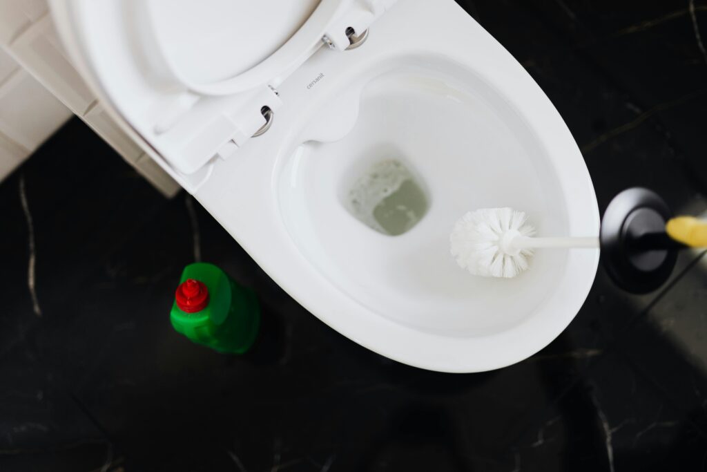 O que jamais fazer ao perceber o vaso sanitário entupido