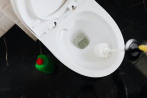 O que jamais fazer ao perceber o vaso sanitário entupido